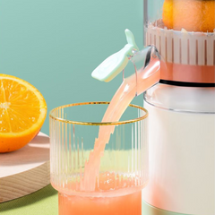 Citrus Juicer
