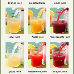Citrus Juicer
